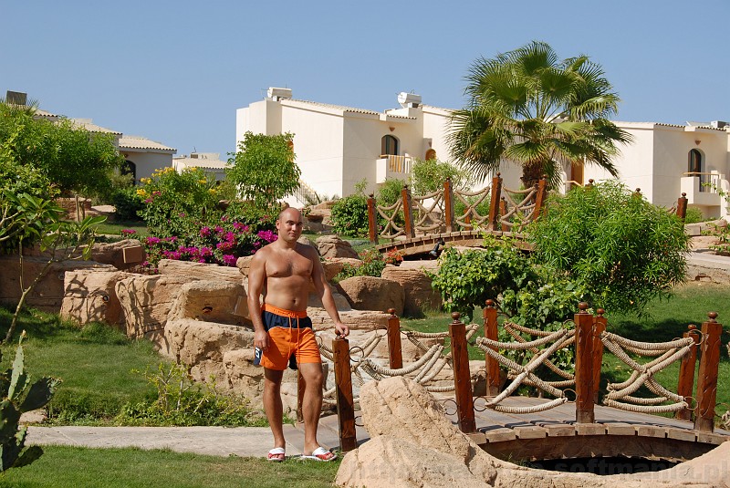 013_egipt_sharm.jpg - Hotelowy ogród był piękny i bardzo zadbany.